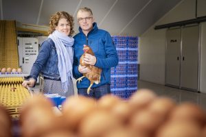 knulst zonnepanelen bij boeren