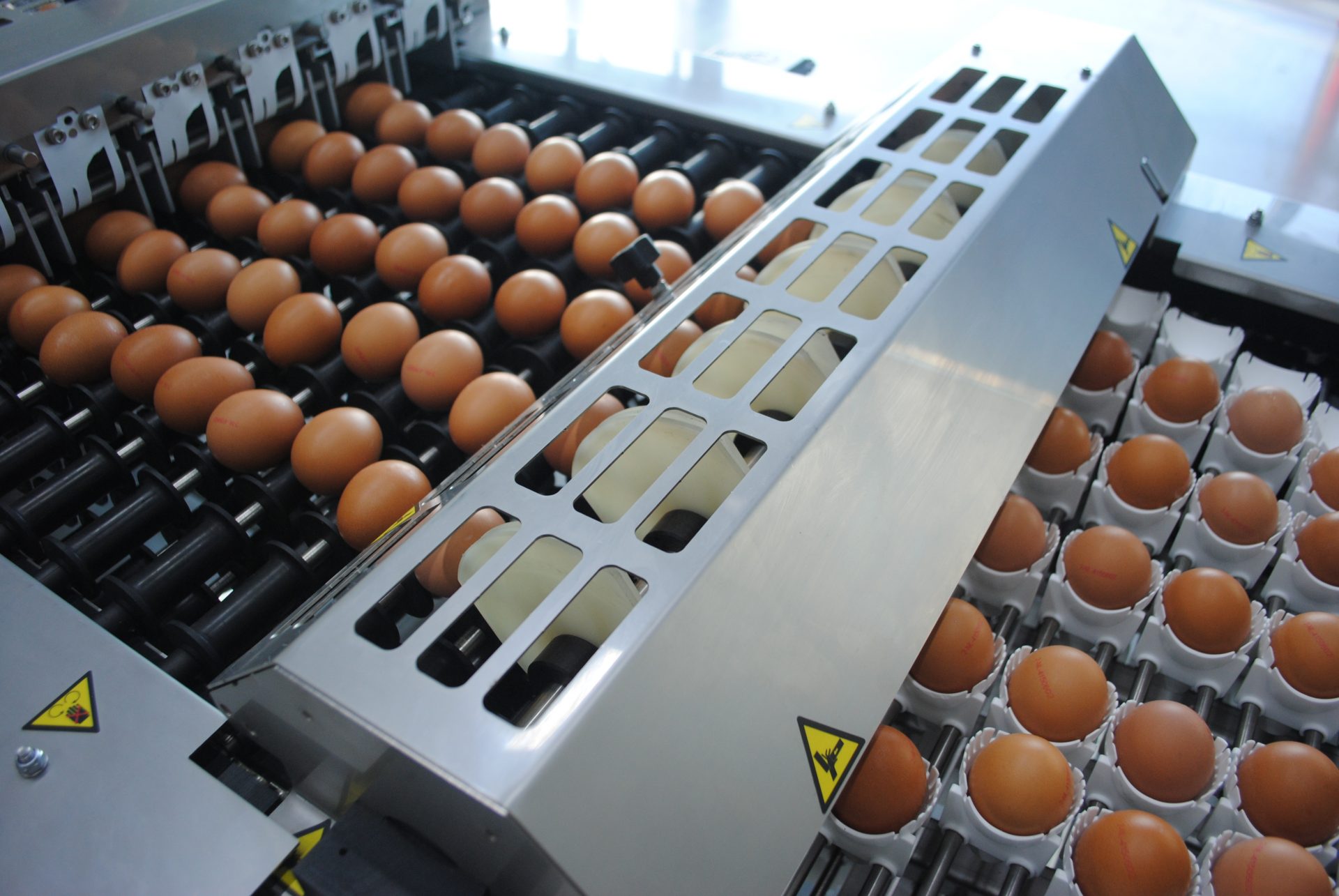 Prijs van eieren af boerderij blijft dalen
