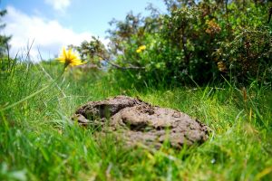 Biomineralen teleurgesteld over uitspraak Raad van State