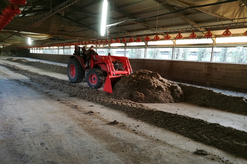 Reiniging en ontstemmeting van voederapparatuur