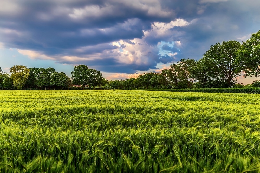 Duurzame landbouw