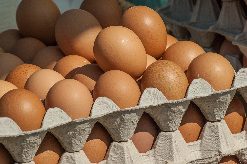 Consumentenprijs eieren stabiel, af boerderijprijs gedaald
