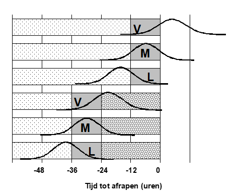 Wat is het effect van een extra broeddag op vleeskuikens?