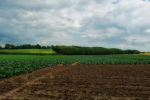 LTO: stop verdere achteruitgang boereninkomen in NSP