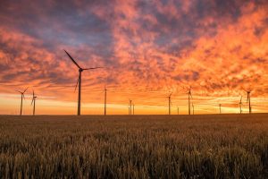 Energielijst 2022 biedt interessante kansen voor Agrosector