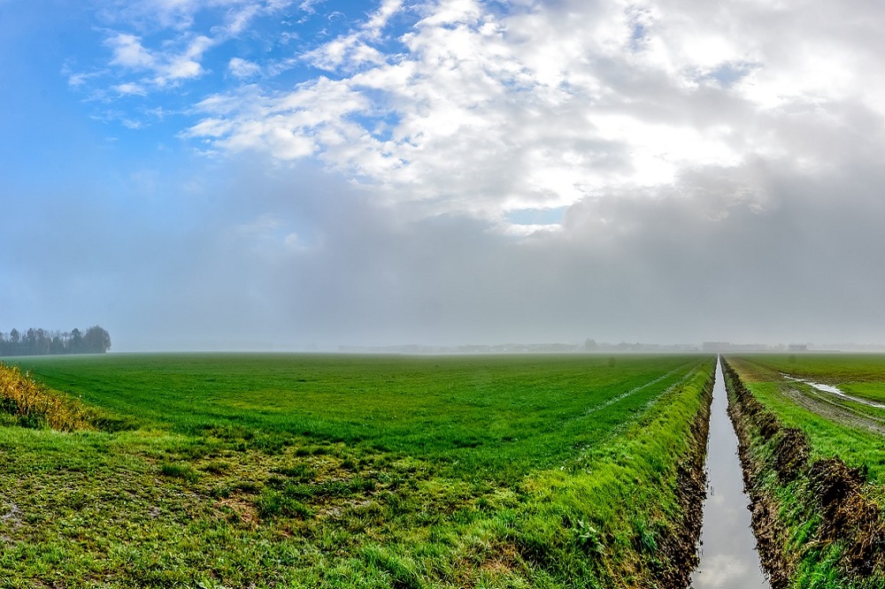 Structurele aanpak stikstof leidt tot meer focus op Natura 2000-gebieden