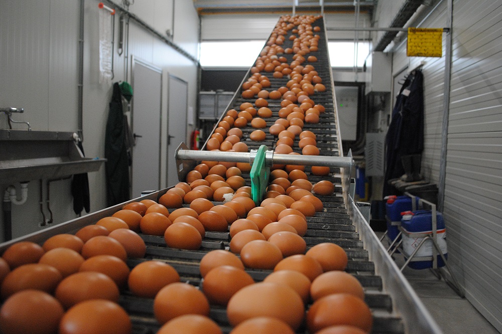 “Menig pluimveehouder schrikt als hij ziet hoeveel producten hij gebruikt”