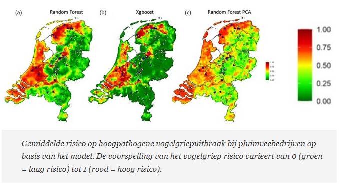 Verspreiding wilde vogels goede voorspeller vogelgriepuitbraken