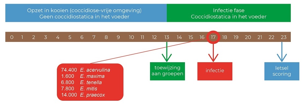 Controle over coccidiose