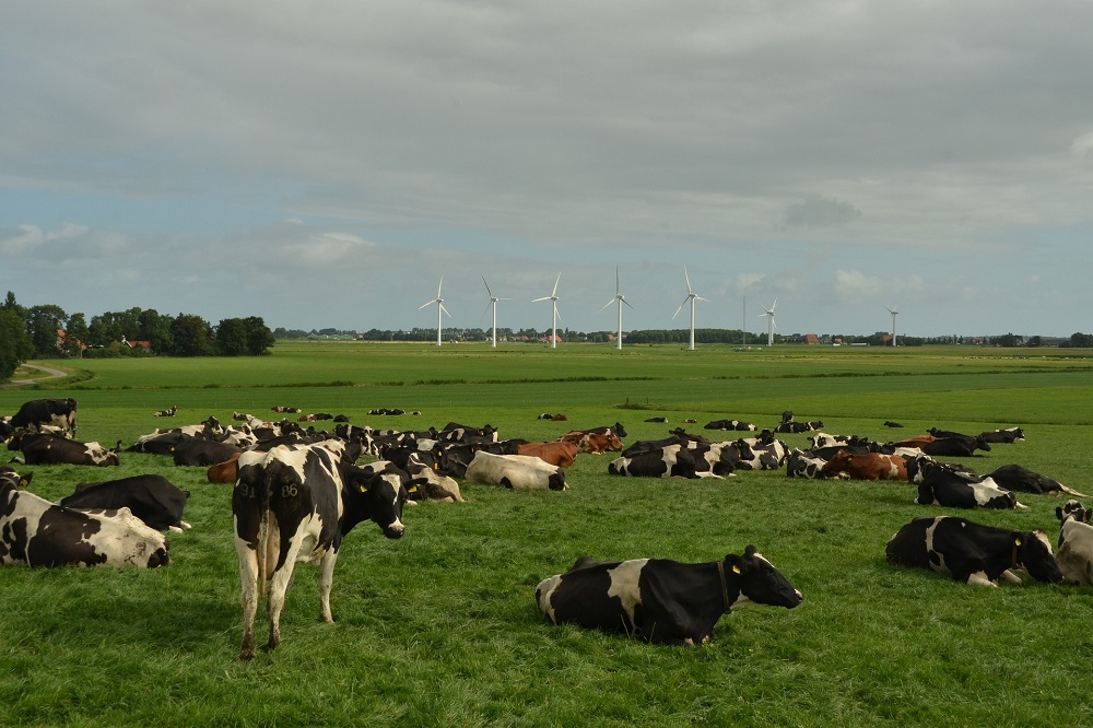 Onduidelijkheid blijft, Van der Wal kan door met stikstofplannen