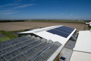 Asbest verwijderen en zonnepanelen plaatsen op uw pluimvee staldak