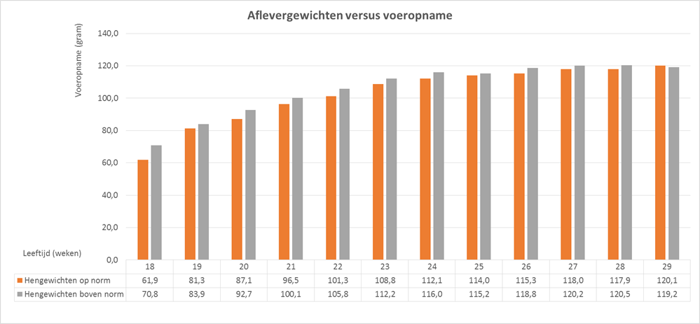 Transitiemanagement: investeer in groei en ontwikkeling tijdens de opfok 