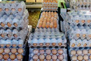 Modelovereenkomst voor verkoop lokale voedselproducten