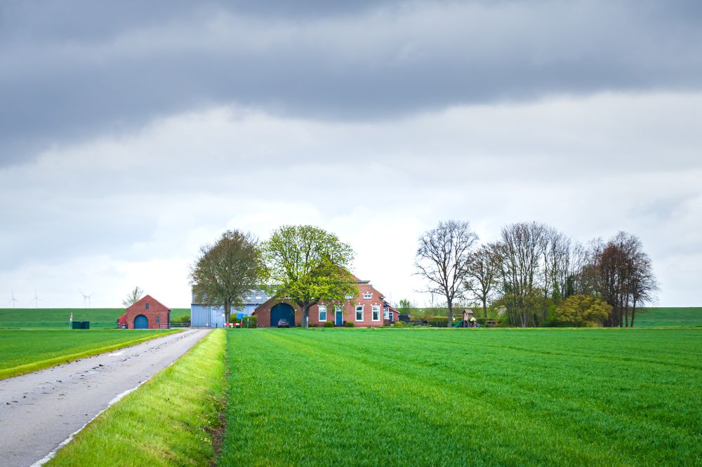 Wat ga jij in de markt zetten?