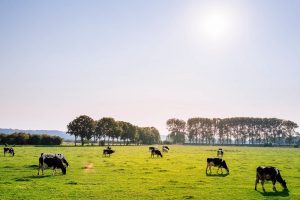 natuurvergunningen