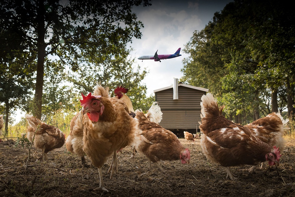 Fladderfarm Mobiel - foto Marc van den Hout