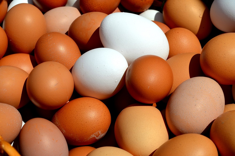 Eieren voor consument weer iets goedkoper