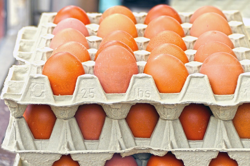 Rabobank: eierprijzen blijven in 2023 relatief hoog