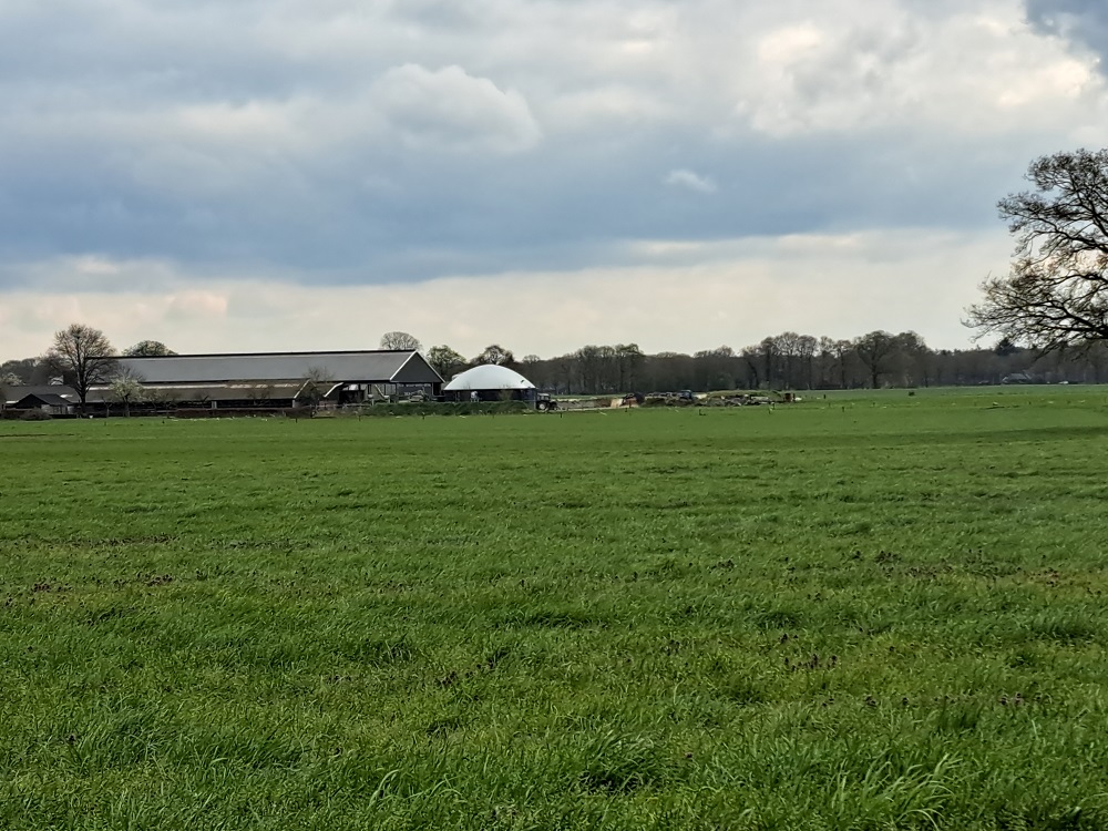 Veel mest kan niet geplaatst worden, zorgen mestafzet lopen op