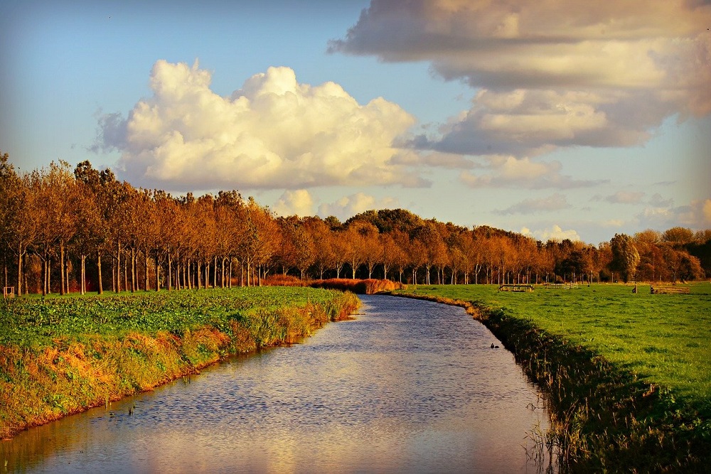 Provincie Gelderland kan maar 1 PAS-melder helpen met LNV-regeling