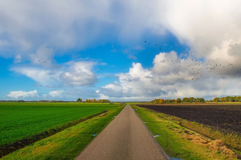 1234Natura 2000-gebieden: Stikstofneerslag daalt, maar voor veel natuur nog te hoog