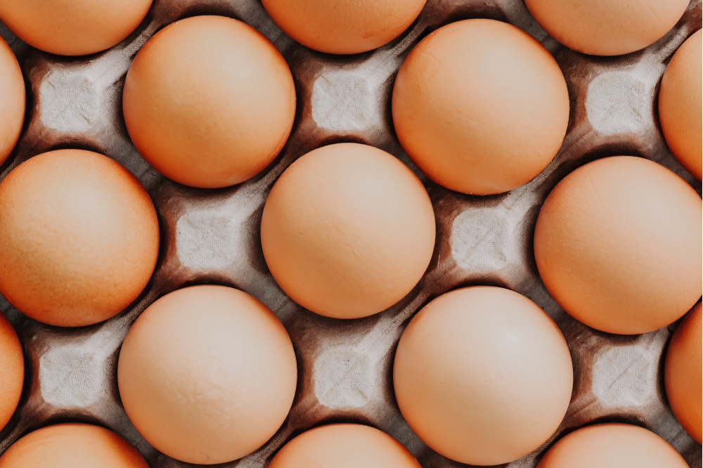 Lichte daling consumentenprijsindex eieren ondanks stijging opbrengstprijzen pluimveehouders