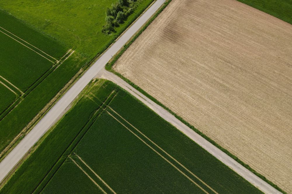 Tweede Kamer laat bedrijfsopvolging (BOR) aansluiten op boerenpraktijk