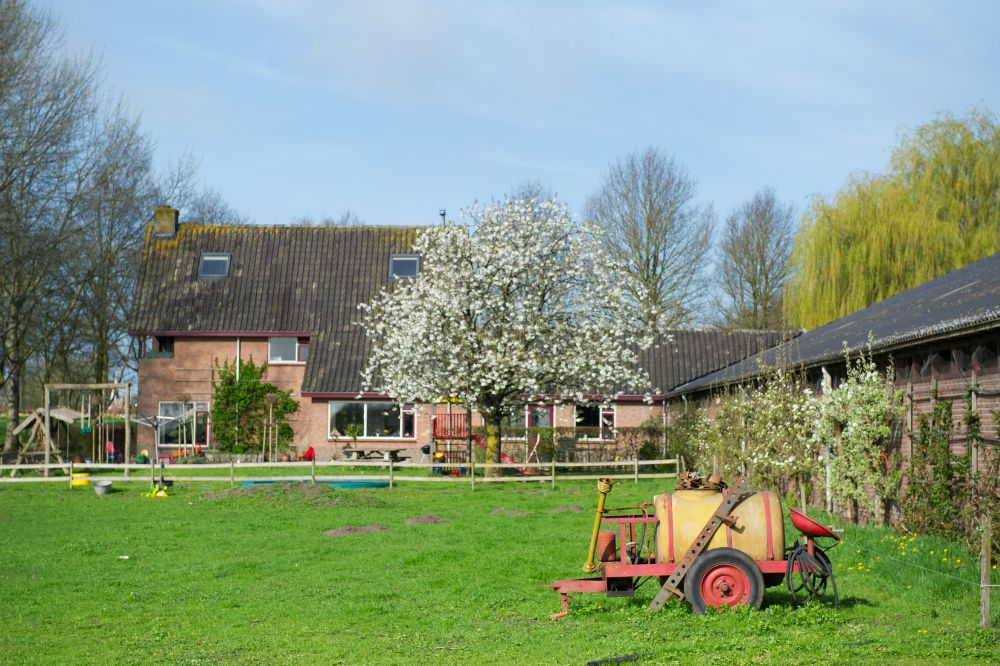 Meedoen aan de saneringsregeling: hoe zit het met het woonhuis?