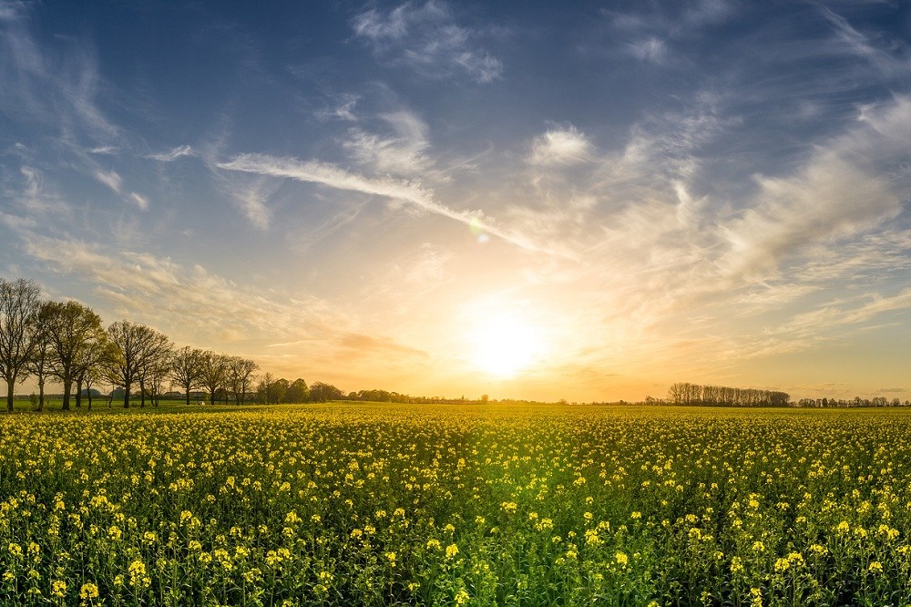 "Nederlandse landbouw heeft verantwoord transitiebeleid nodig"