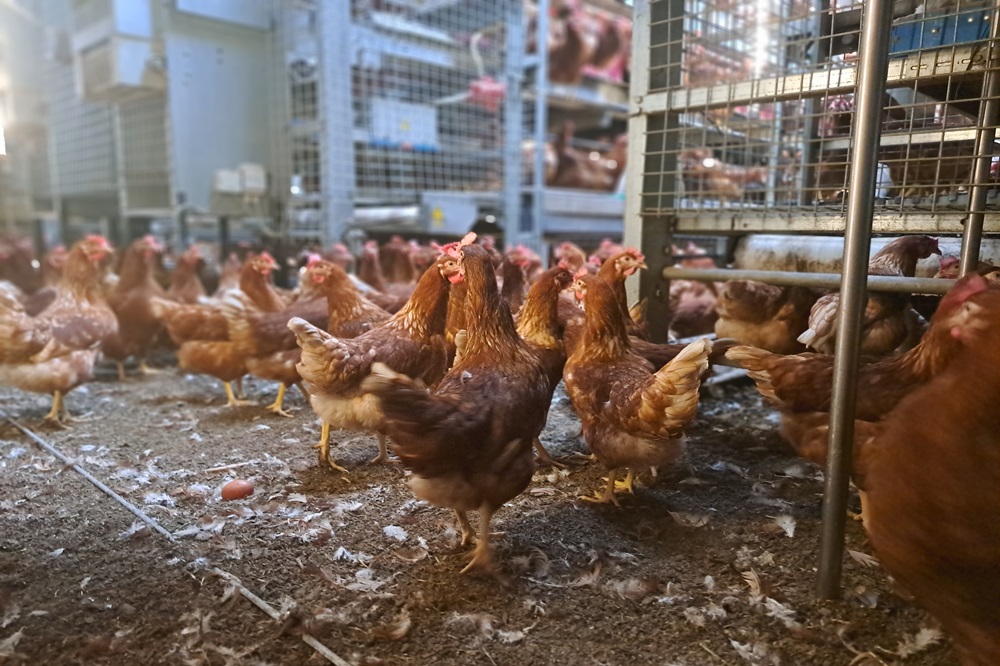 Kennisevenement Praktijkcentrum Emissiereductie Veehouderij op 28 februari
