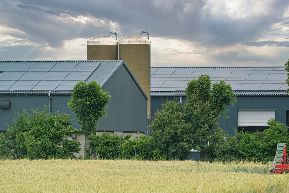 WUR brengt relatie vogelgrieprisico en wateromgeving in kaart