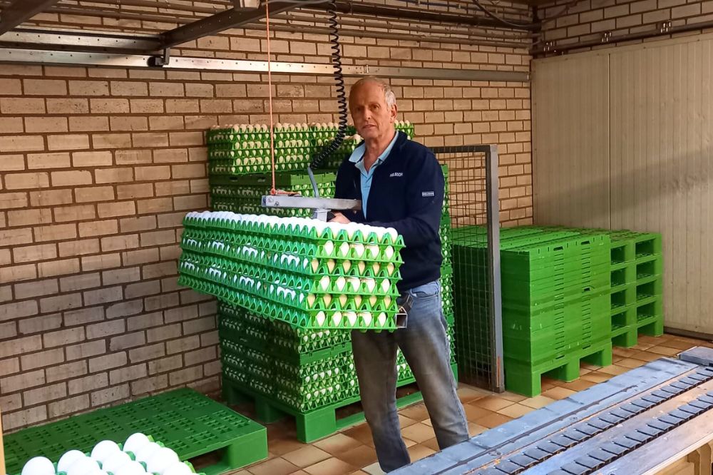 Smolenaers eierlift stapelt de pallets: Rugpijn kan je rug op