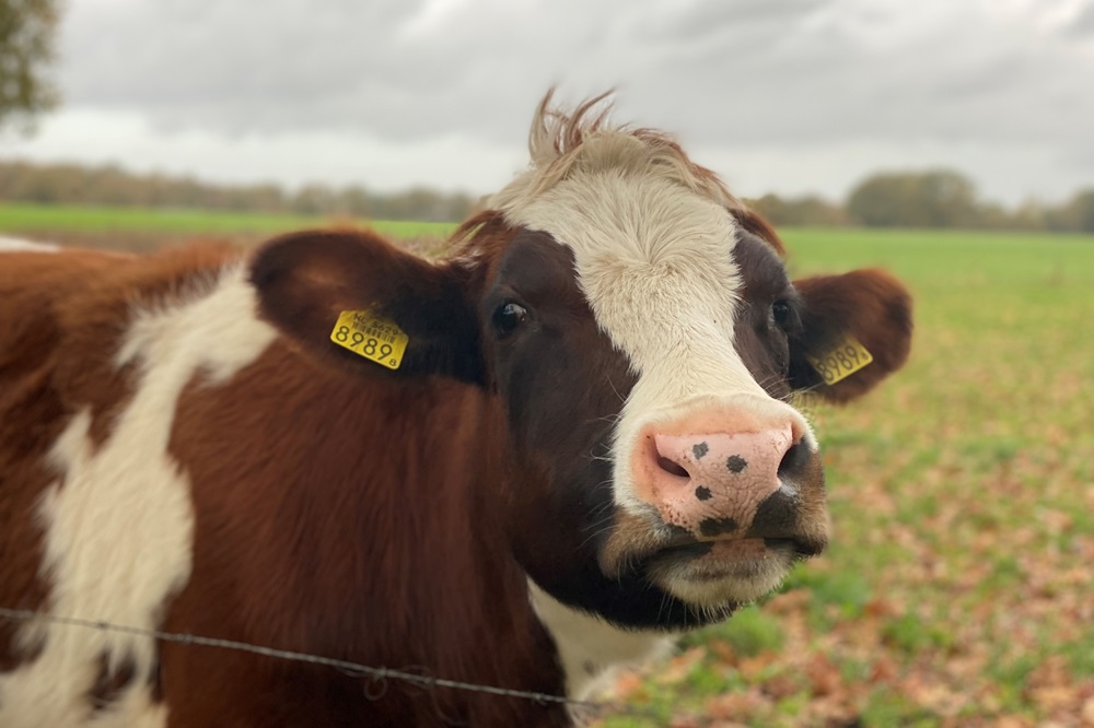 "Doe je oogkleppen af en laat je inspireren"