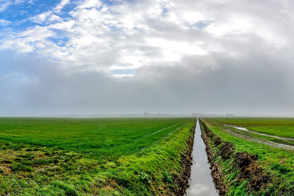 Nutriëntconcentraties voldoen merendeels aan de norm