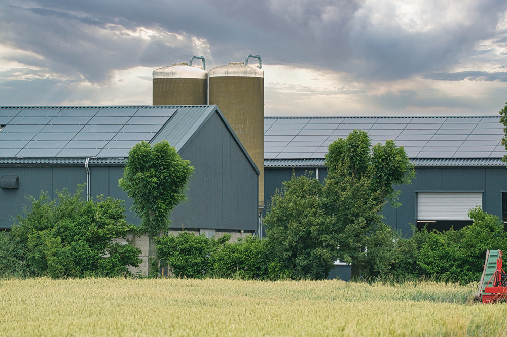 Gebruik hygiëneprotocol bij bezoek pluimveestallen gewijzigd