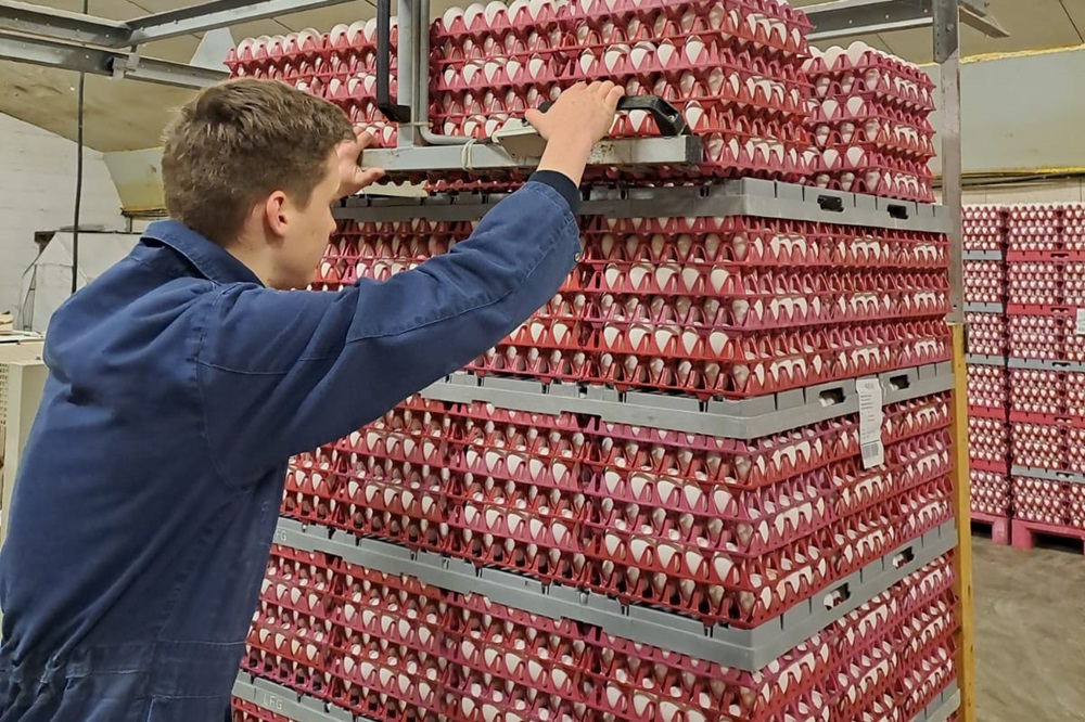 Van Eijk stapelt pallets met eierlift