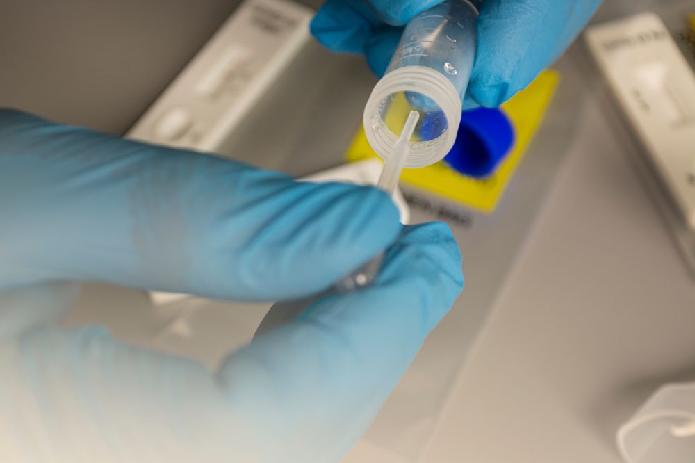 Sneltesten vogelgriep ondersteunend aan PCR-analyse