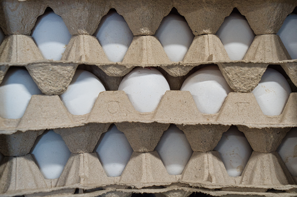 Witte eieren in de schappen van supermarktketen Albert Heijn