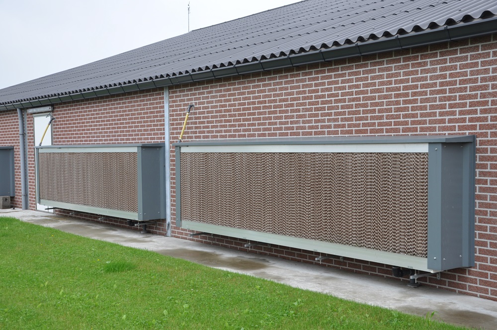verneveling en padkoeling bij vleeskuikens