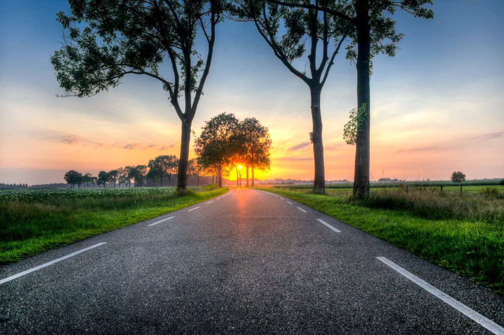 Veel wegen naar duurzame landbouw
