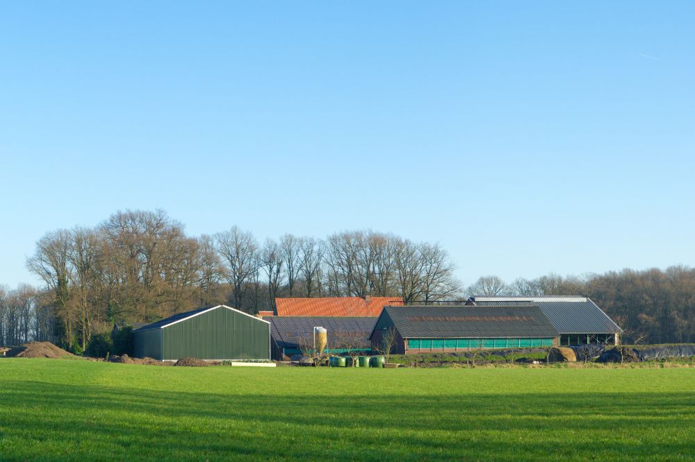 Onder welke voorwaarden is bedrijfsovername voor een agrarisch bedrijf toekomstbestendig? Het is een vraag die veel boerenfamilies bezighoudt.