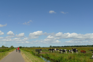 Deelnemers Lbv en Lbv-plus niet klem door stikstofuitspraak