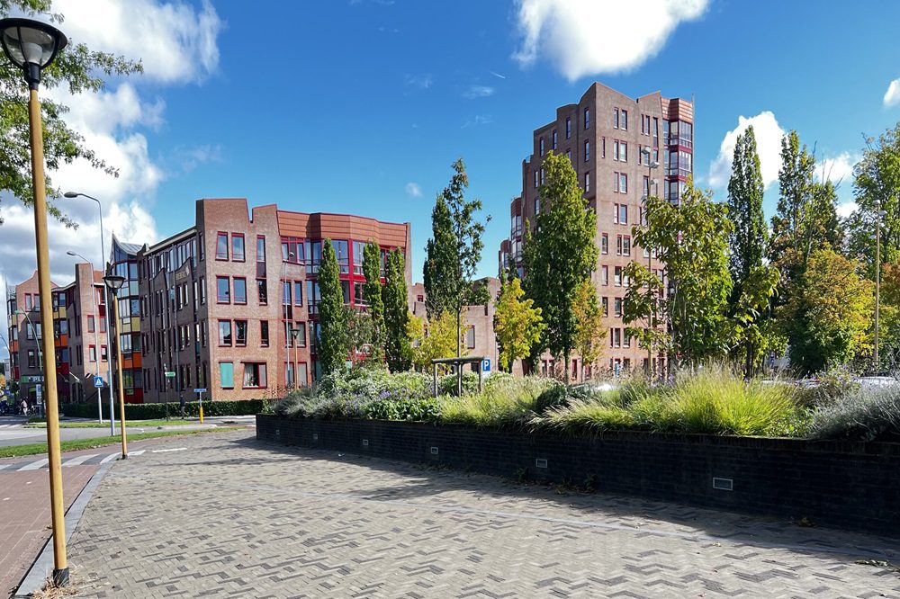 Onthulling van hetKunstei ‘Vele Gezichten’