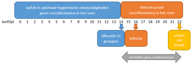 Figuur 2 standaard protocol