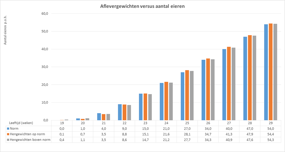 Transitiemanagement: investeer in groei en ontwikkeling tijdens de opfok