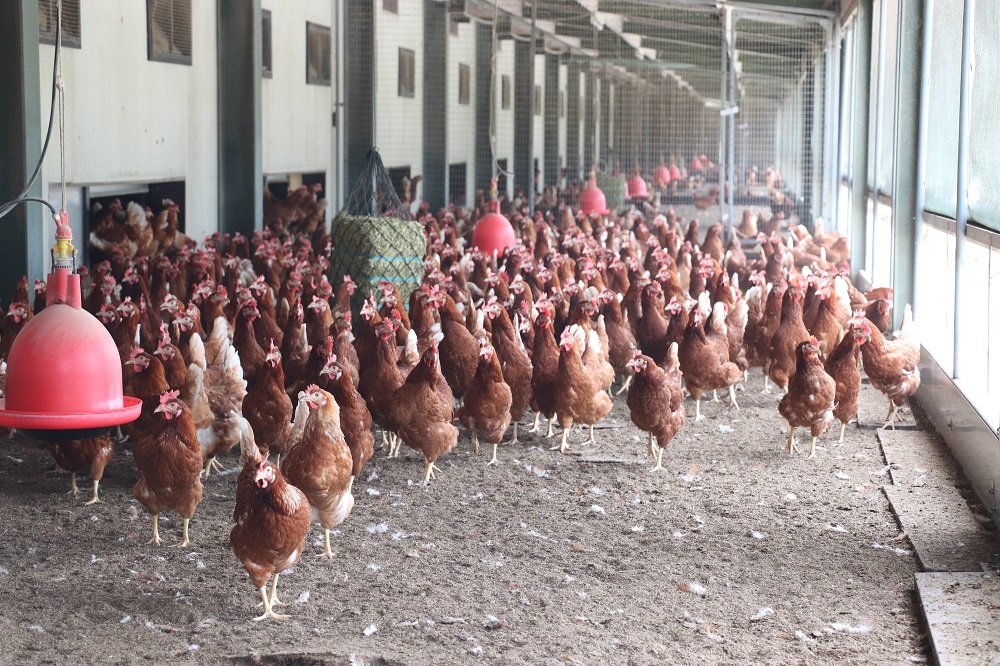 ‘Soliq geeft op diverse fronten voordelen’